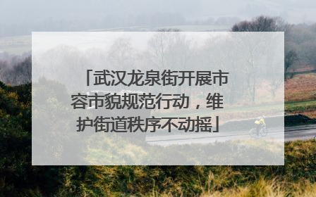 武汉龙泉街开展市容市貌规范行动，维护街道秩序不动摇