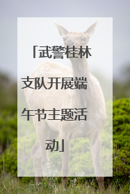 武警桂林支队开展端午节主题活动
