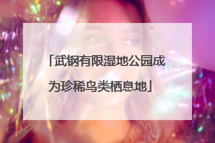 武钢有限湿地公园成为珍稀鸟类栖息地