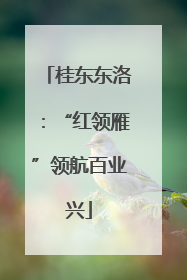 桂东东洛：“红领雁”领航百业兴