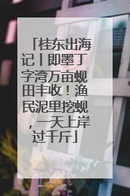 桂东出海记丨即墨丁字湾万亩蚬田丰收！渔民泥里挖蚬，一天上岸过千斤