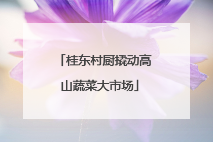 桂东村厨撬动高山蔬菜大市场