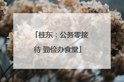 桂东：公务零接待 勤俭办食堂