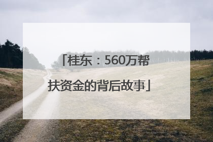 桂东：560万帮扶资金的背后故事