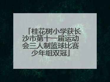 桂花树小学获长沙市第十一届运动会三人制篮球比赛少年组双冠