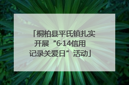 桐柏县平氏镇扎实开展“6·14信用记录关爱日”活动