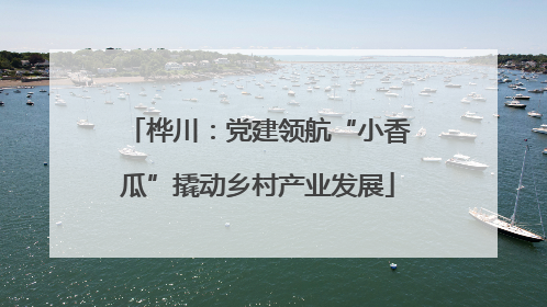 桦川：党建领航“小香瓜”撬动乡村产业发展