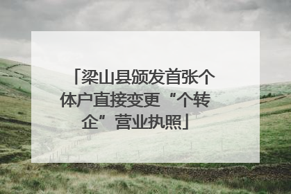 梁山县颁发首张个体户直接变更“个转企”营业执照