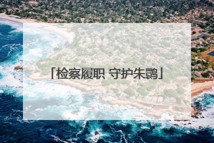 检察履职 守护朱鹮