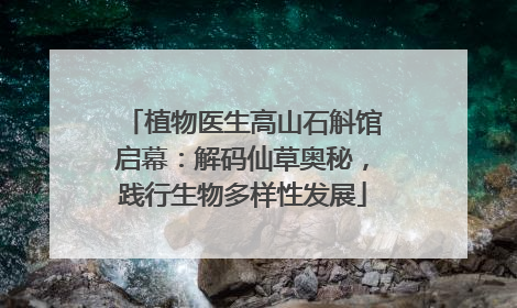 植物医生高山石斛馆启幕：解码仙草奥秘，践行生物多样性发展