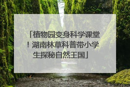 植物园变身科学课堂！湖南林草科普带小学生探秘自然王国