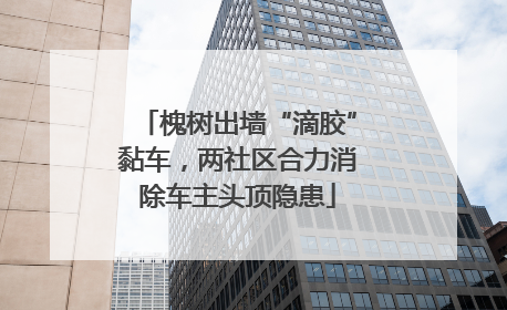 槐树出墙“滴胶”黏车，两社区合力消除车主头顶隐患