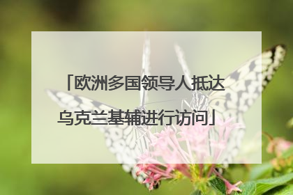 欧洲多国领导人抵达乌克兰基辅进行访问
