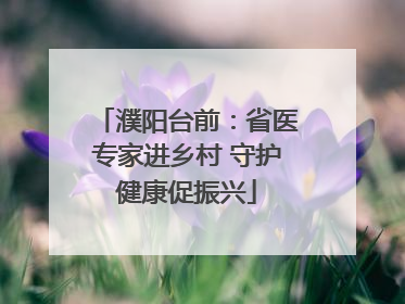 濮阳台前：省医专家进乡村 守护健康促振兴