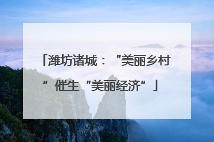 潍坊诸城：“美丽乡村”催生“美丽经济”