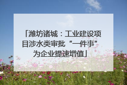 潍坊诸城：工业建设项目涉水类审批“一件事” 为企业提速增值