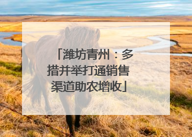 潍坊青州：多措并举打通销售渠道助农增收