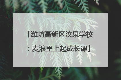 潍坊高新区汶泉学校：麦浪里上起成长课