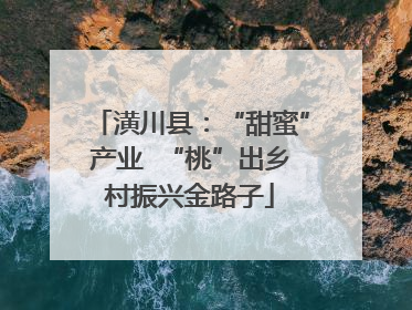 潢川县：“甜蜜”产业  “桃”出乡村振兴金路子