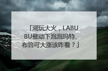 潮玩大火，LABUBU催动下泡泡玛特、布鲁可大涨该咋看？