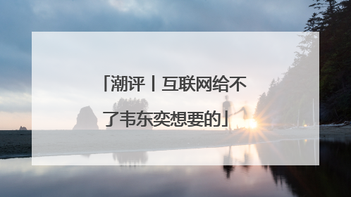潮评丨互联网给不了韦东奕想要的