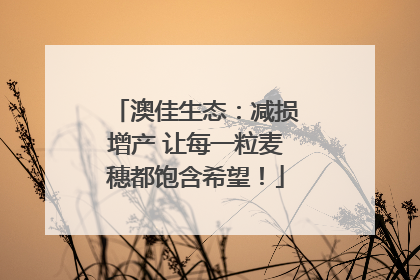 澳佳生态：减损增产 让每一粒麦穗都饱含希望！