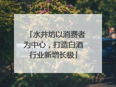 水井坊以消费者为中心，打造白酒行业新增长极