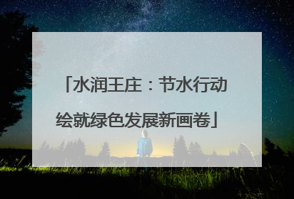 水润王庄：节水行动绘就绿色发展新画卷