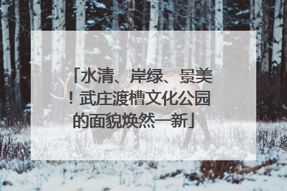 水清、岸绿、景美！武庄渡槽文化公园的面貌焕然一新