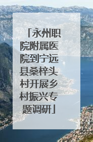 永州职院附属医院到宁远县桑梓头村开展乡村振兴专题调研