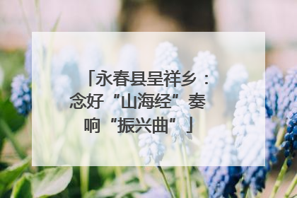 永春县呈祥乡：念好“山海经”奏响“振兴曲”