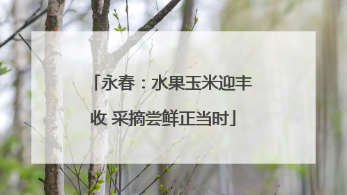 永春：水果玉米迎丰收 采摘尝鲜正当时