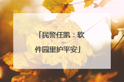 民警任凯：软件园里护平安