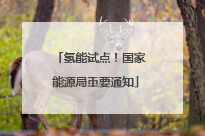 氢能试点！国家能源局重要通知