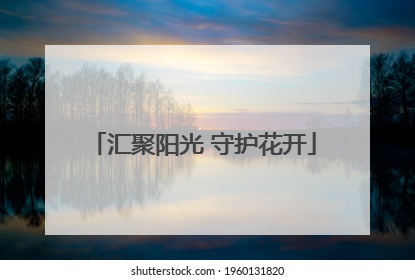 汇聚阳光 守护花开