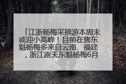 江浙杨梅采摘游本周末或迎小高峰！目前在售东魁杨梅多来自云南、福建，浙江露天东魁杨梅6月中旬大量上市