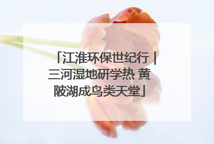 江淮环保世纪行｜三河湿地研学热 黄陂湖成鸟类天堂