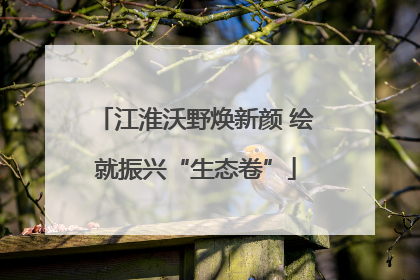 江淮沃野焕新颜 绘就振兴“生态卷”