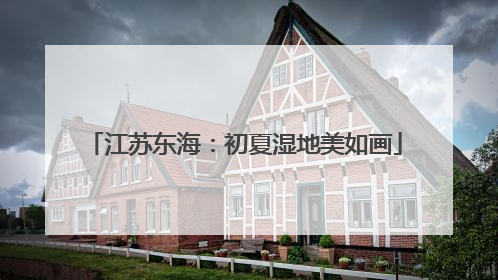 江苏东海：初夏湿地美如画