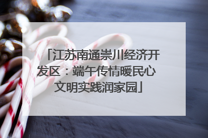 江苏南通崇川经济开发区：端午传情暖民心 文明实践润家园
