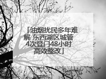油烟扰民多年难解 东西湖区城管4次登门48小时高效整改