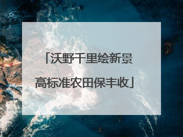 沃野千里绘新景 高标准农田保丰收