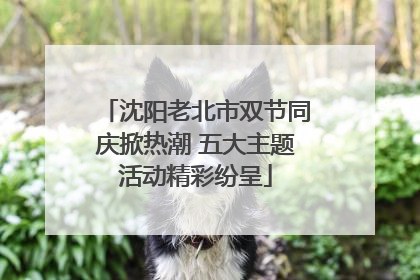 沈阳老北市双节同庆掀热潮 五大主题活动精彩纷呈