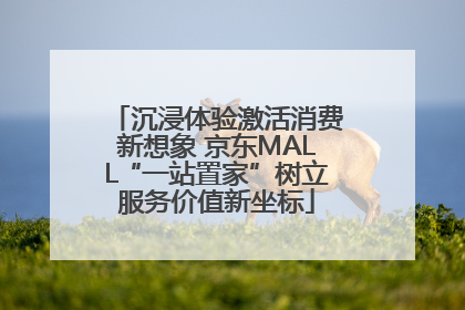 沉浸体验激活消费新想象 京东MALL“一站置家”树立服务价值新坐标