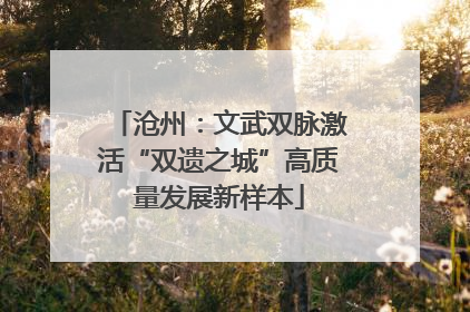 沧州：文武双脉激活“双遗之城”高质量发展新样本