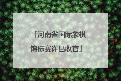河南省国际象棋锦标赛许昌收官