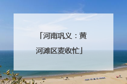 河南巩义：黄河滩区麦收忙