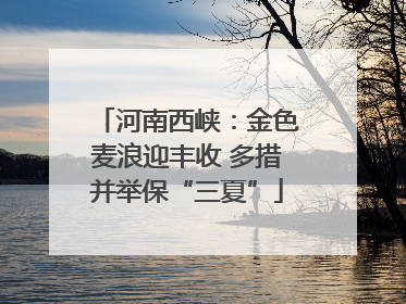 河南西峡：金色麦浪迎丰收 多措并举保“三夏”