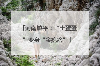 河南镇平：“土蛋蛋”变身“金疙瘩”