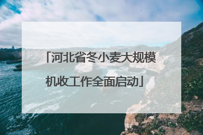 河北省冬小麦大规模机收工作全面启动